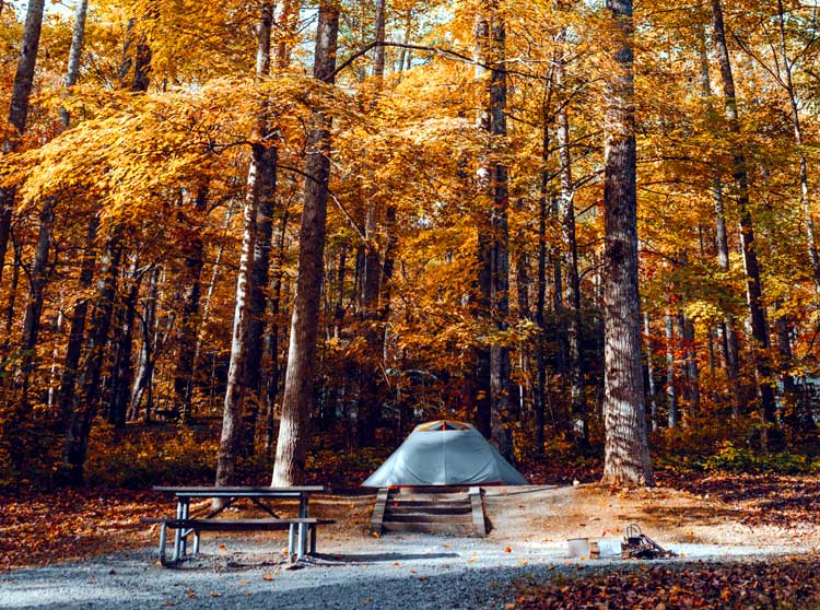 autumn camping tent