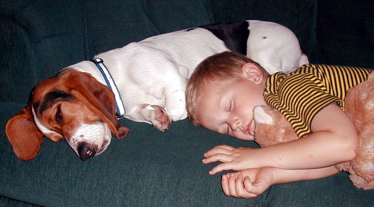 get a dog boy beagle napping